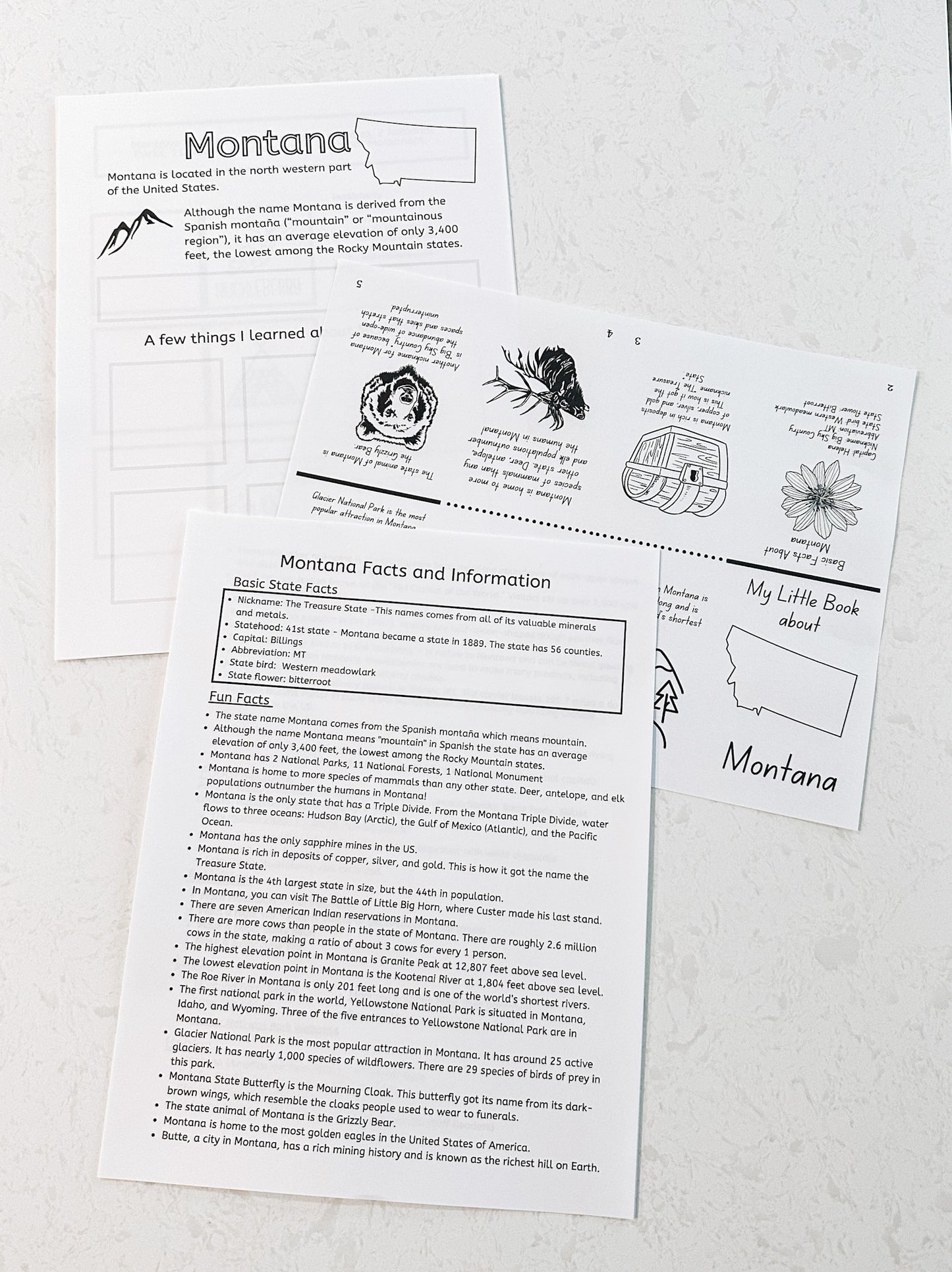 Montana Worksheets and Unit Study