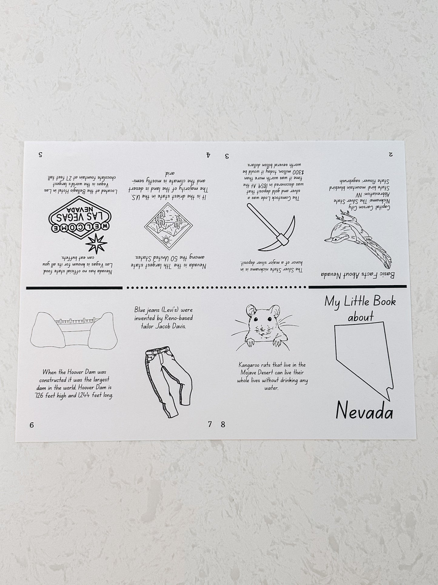 Nevada Worksheets and Unit Study